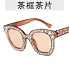 Fashionable sunglasses, marine cute glasses