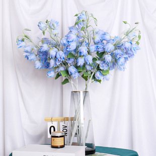 �S�����l��c��Y�b����ٻ���ˇ��m�� ins�L���·��滨�L⏻�