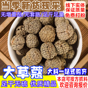 �ݿܲݶ�ޢ�Ͽܲ�ޢ�ʲݿ۴��ޢ�ݿ��Ͽ������u������{������