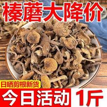 2024臻长白山野生东北蘑菇产干货小鸡蘑级丁榛蘑新货炖无根