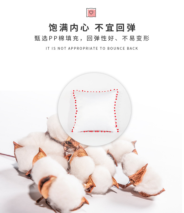 韩国缎毛球抱枕_04.jpg