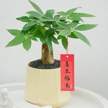 lؔСGֲGֲkؔ辰՚ֲlؔl