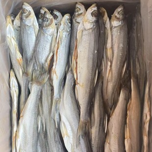 �����l�������خa�N���~Ұ�������~С���~�ɲ͗l�~��؛��ˮ���~40