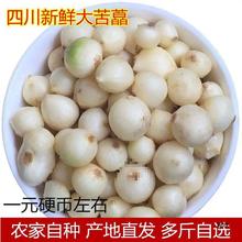 ���]�Ĵ�Ұ�����ˊ�^���a��ֱ�l�F�[���rޯ�׿������