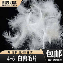 �S��ֱ�N 4-6����ëƬ ˮϴ�ߜغ�ɟo��ζ ��춱���ɳ�l��о���|