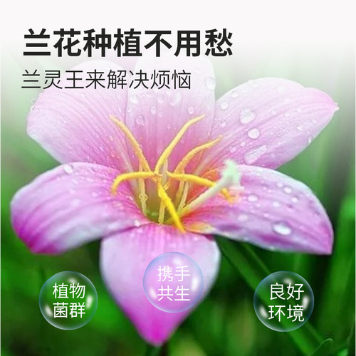 Wholesale Lan Ling Wang orchid fertilizer nutrient solution clivia phalaenopsis orchid dendrobium orchid special one-piece drop shipping