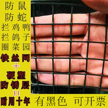 С���F�z�W�����BС�u���Z��������F�W����ȸ��������~��䓽z�W