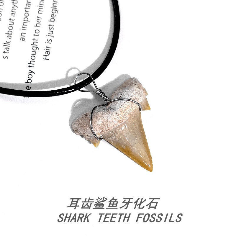 Morocco mini ear tooth shark tooth fossil paleontological fossil fish tooth tooth fossil teaching specimen pendant jewelry Morocco mini ear tooth shark tooth fossil paleontological fossil fish tooth tooth fossil teaching specimen pendant jewelry