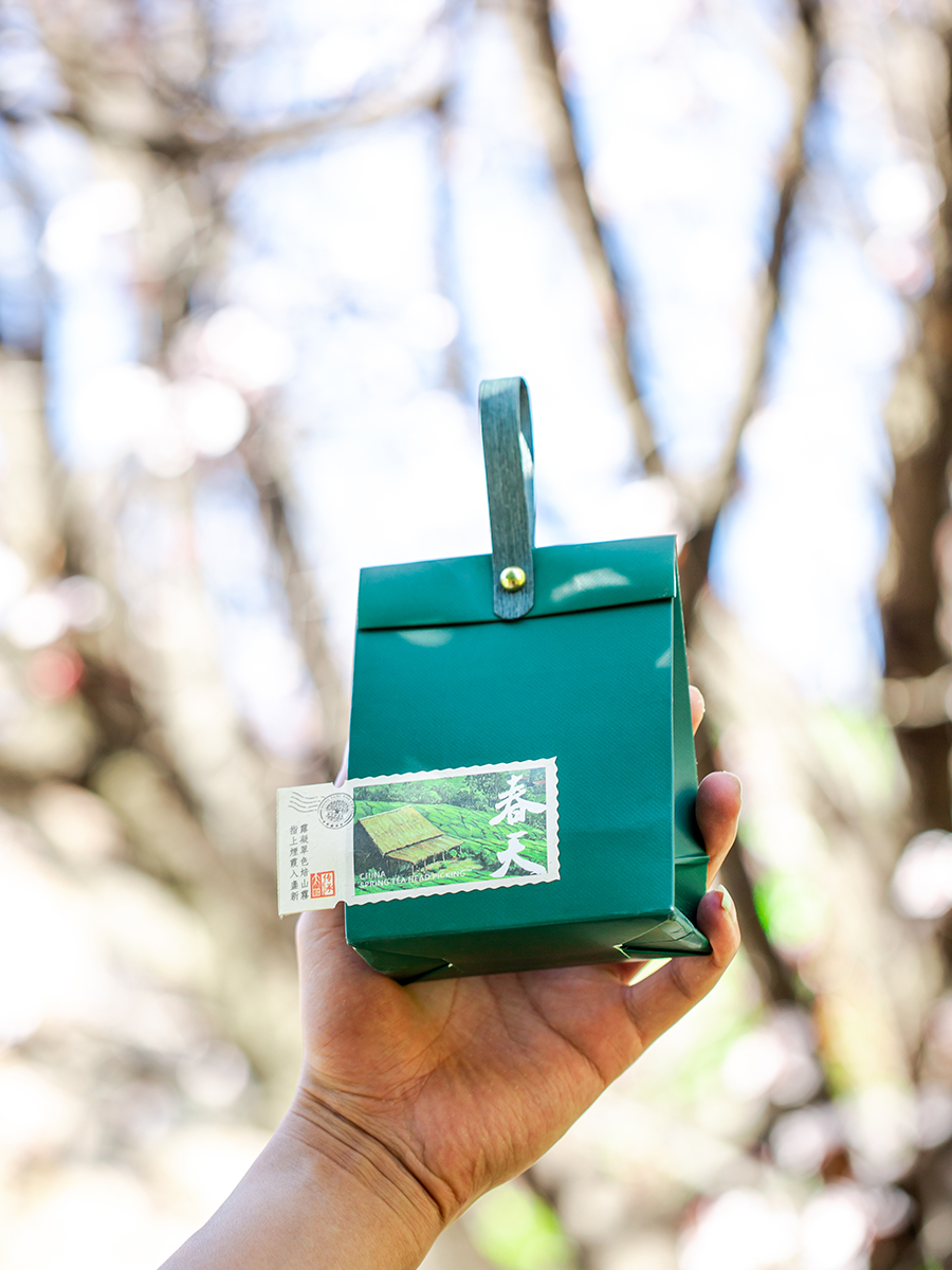 Bolsas de té creativas Longjing Bilu Chun Anji té blanco con bolsas de regalo de mano de origen de té sello caja de cartón simple