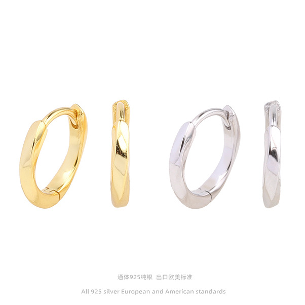 fashionable glossy elegant earrings
