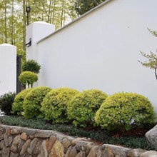 ͥԺ�e�����Rֲ������Ůؑ�����Ǵ���Ϟ�� �{���� ����Ůؑ�쾰��