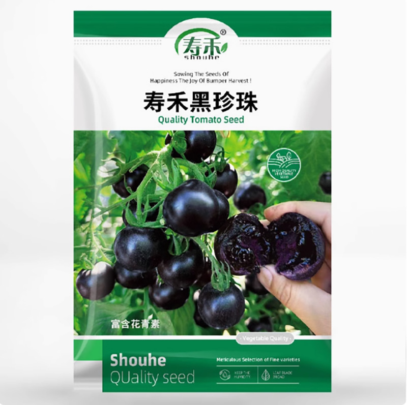 寿光糖水炸弹黑珍珠番茄种子苗秧苗小柿子圣女果水果蔬菜籽种种苗