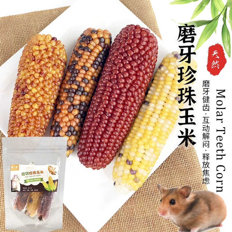 Хомяк молоть мини маленький кукурузный кролик шиншиллы морская свинка голландская свинья молярная закуска корм кролик молчник