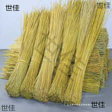 �̗U��������������ȥ�^ȥβŴ�׾����̲�Ŵ�����Ľ���Ь���K