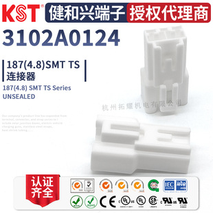 KST�����d3102A0124�B���� 187 SMT TSϵ���B�������˲��^ �����