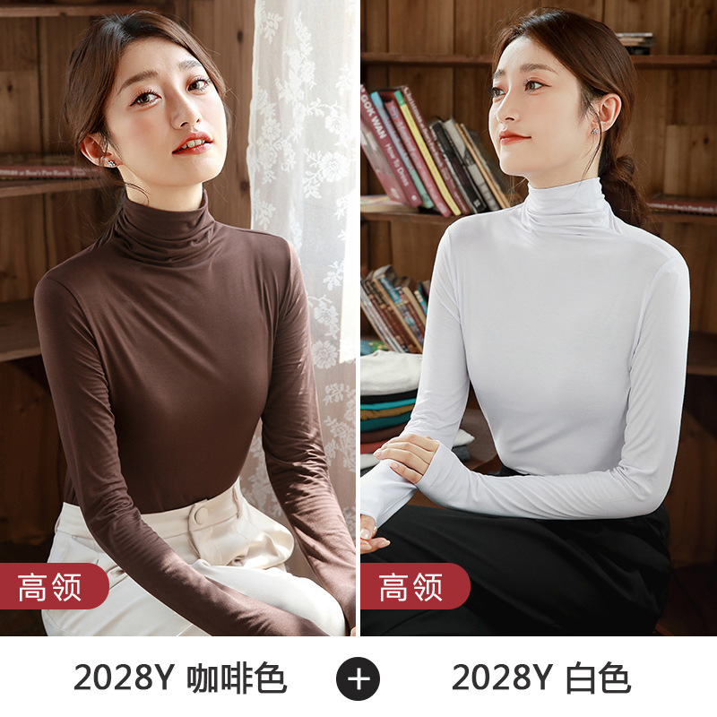 하이 칼라 브라운 + 하이 칼라 화이트