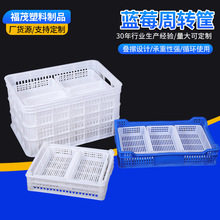 �{ݮ��ժ�����D�����\���{ɫˮ���߲˿���ؿ������P���l͸��؛��