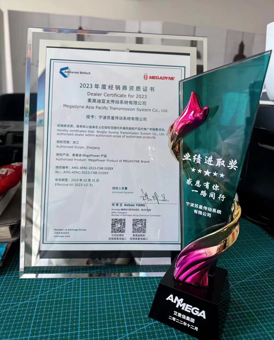 皮带传动代理意大利MEGADYNE麦高迪PU同步带T5T10AT10XLH工业皮带