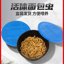 ����x���w͸��С�аl؛�S���x֩��ϐ�Ӟ����،m�����B���D���