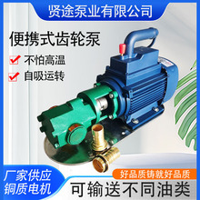 便携式齿轮泵 220V/380V电动抽油泵WCB30 强自吸气柴油泵 甲醇泵