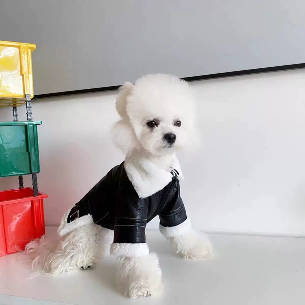 狗狗衣服冬季皮夹克保暖中小型犬雪瑞纳法斗比熊泰迪狗狗机车皮衣
