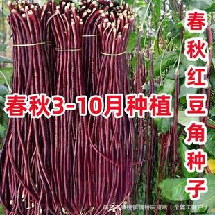 ����t�����N���ϼt�L�������L���ǷN�Ѹ߮a�ܶ��͟��ļ��߲˷N��