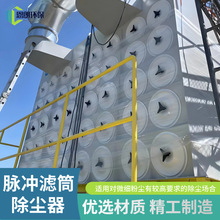 滤筒除尘器 粉尘收集环保设备车间收尘器高温脉冲滤筒车间收尘器
