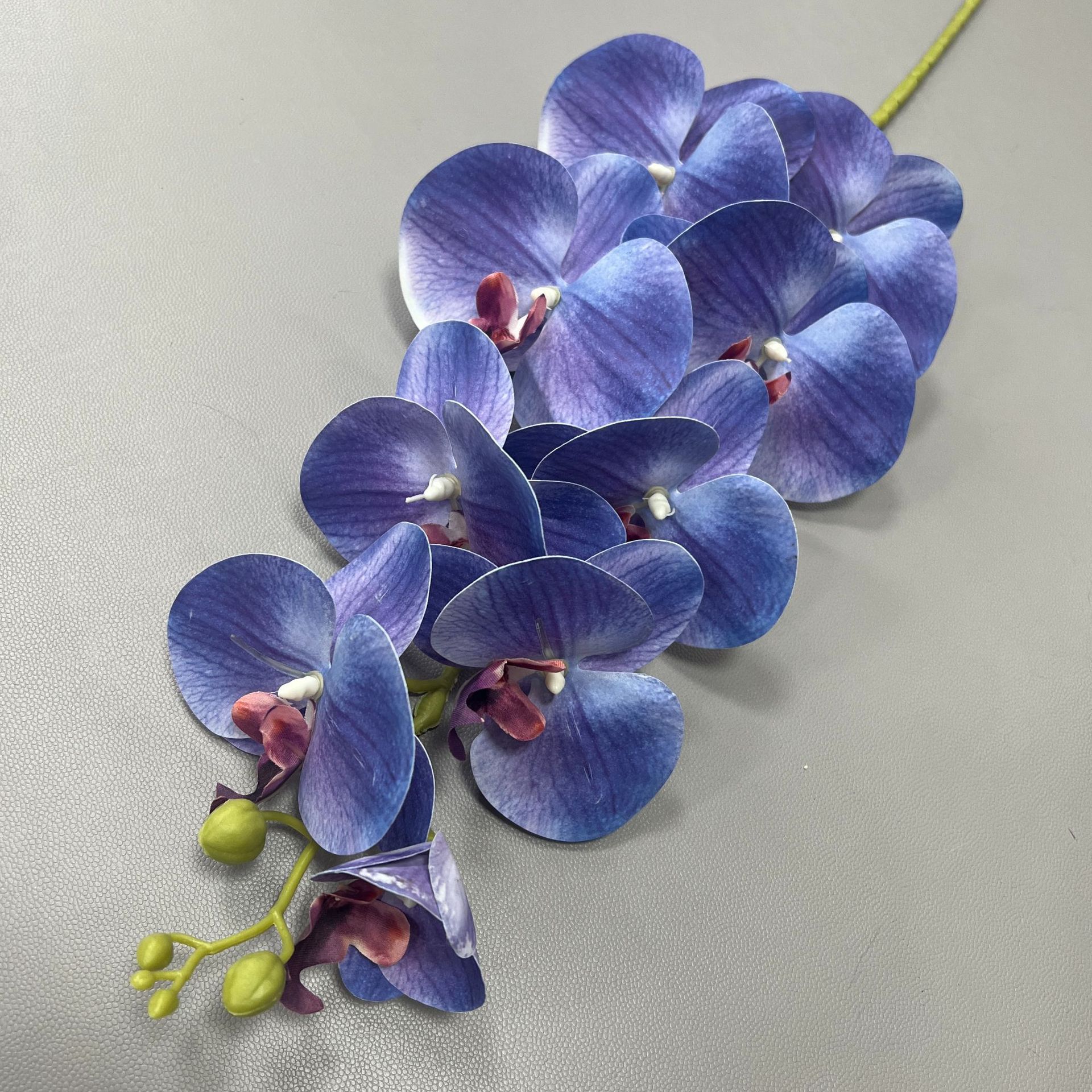 9 호접란-10