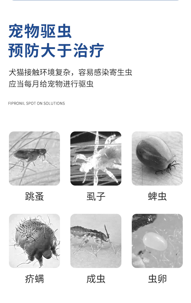 非泼罗泥滴剂2_02