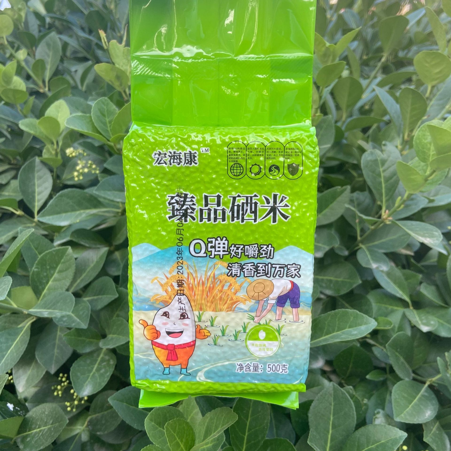 微信图片_20230626214253