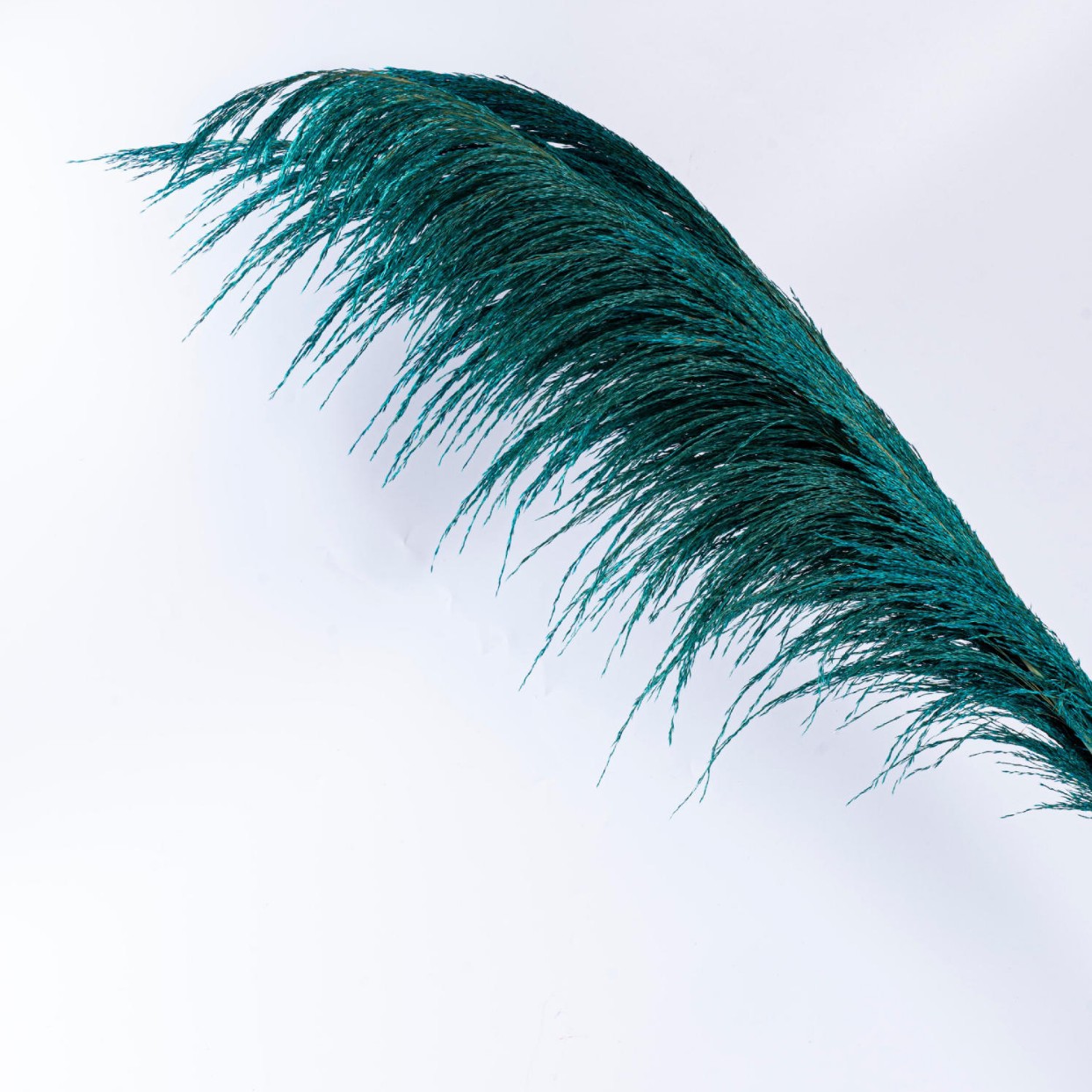 파란색 것