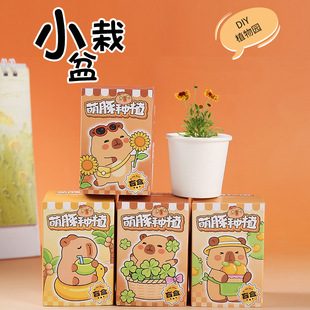 ����Nֲä���������Ԅ�������ֲ��ä�пɐ�С����DIY�Nֲ���