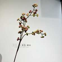 蓝莓果红果浆果野果橘色绿色北美冬青果沙棘果手捧花装饰摆件