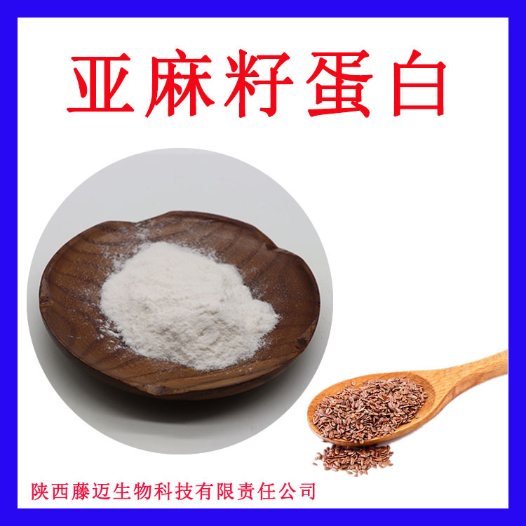 Linseed protein 50% without middleman linseed protein in stock linseed extract protein powder