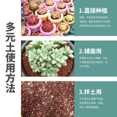 廠家批發代發多元土多肉拌土種植鋪面專用凹凸活力土透氣生根精品