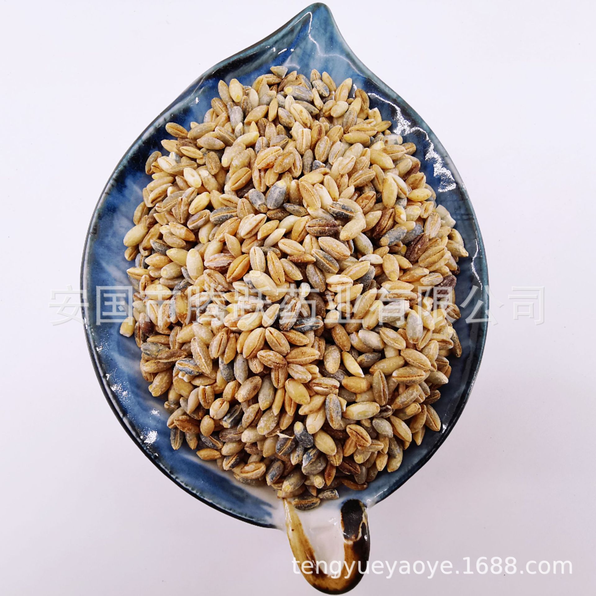 Highland Barley Qing Ke 裸大麦 Dried Grain 1kg Bag Sichuan Origin for Congee and Culinary Use quality and texture