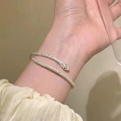 银蛇缠绕手镯轻奢小众设计感精致冷淡风手饰个性高级感可调节手环
