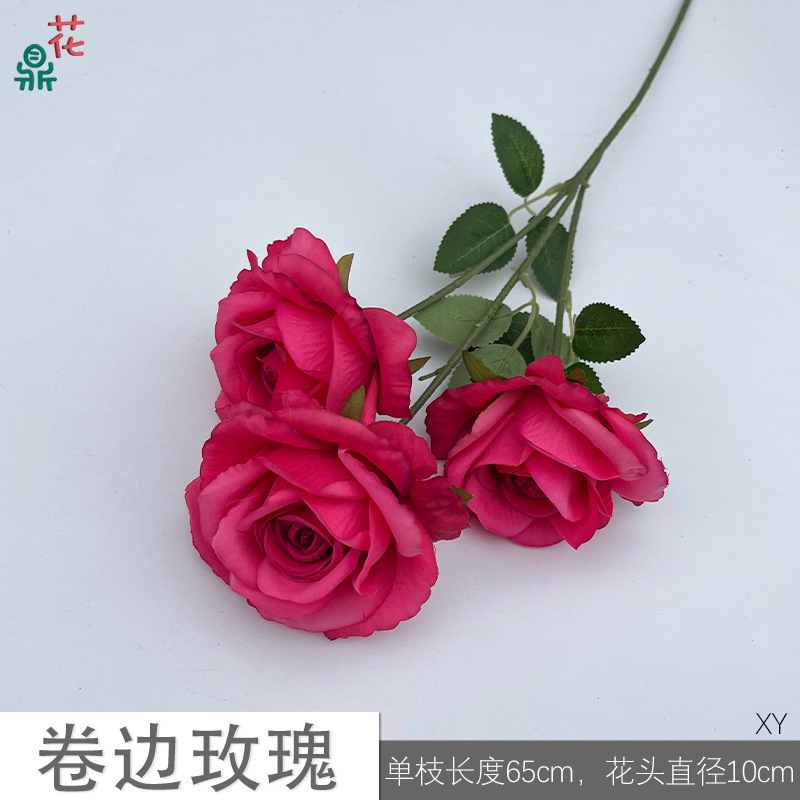 컬링 로즈 XY 로즈 레드
