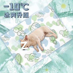 Pet Ice Mat, Summer Cooling Waterproof Cat Mat, Bite-Resistant Dog Mat, Summer Sleeping Mat, Dog Supplies