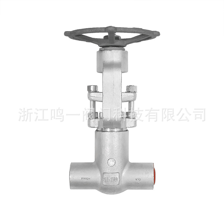 锻造不锈钢F316H全通径全流量2500LB压力自密封承插对焊闸阀PZ61Y