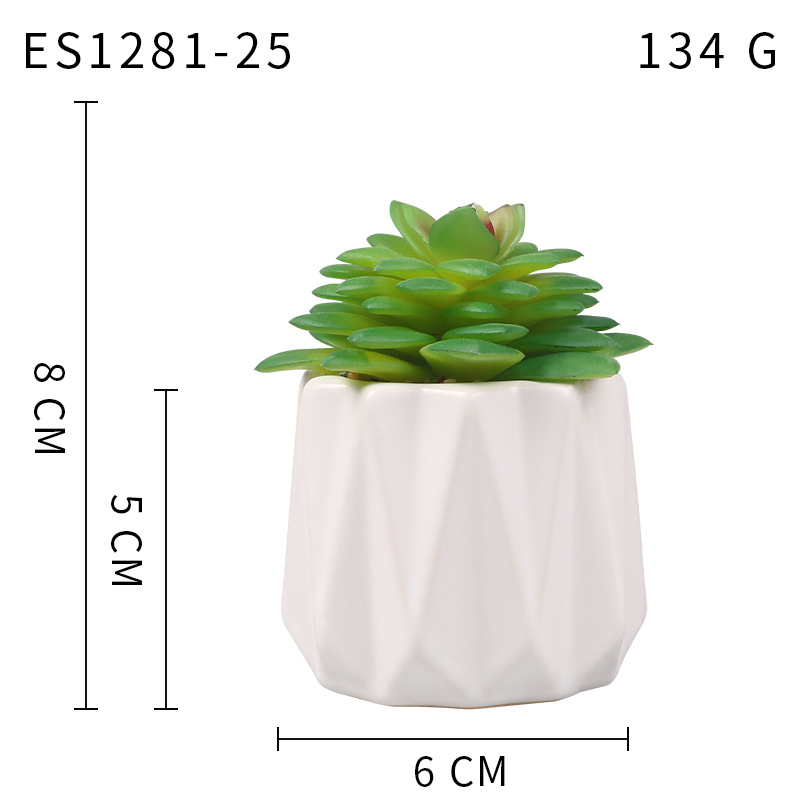 Pequeña ola al por mayor taza tipo simulación planta suculenta nórdico Muebles de Oficina Decoración fresca nuevo producto