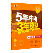 专项突破分层练习 语数英物化地生山东专版2024版5年中考3年模拟