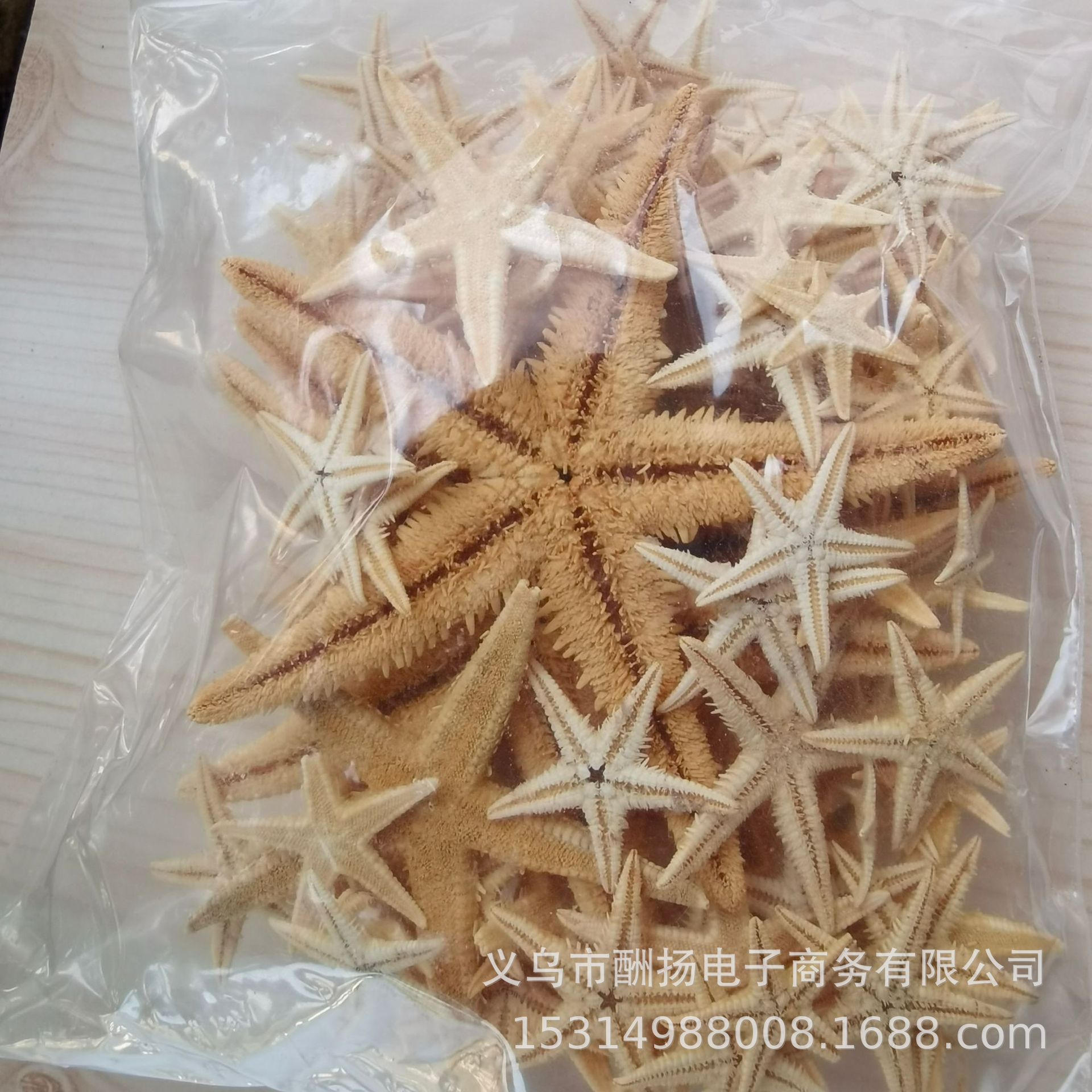 1-8cm flat starfish mixed size 90-100