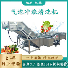 ��ݮ��ϴ�C �ك���ݮ�ɼӹ���ˮ�� ��ݮ�u��ϴ�L����ˮ���Ԅ���ϴ