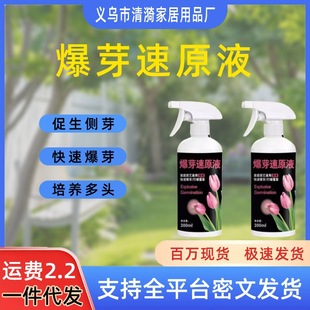 Special Nutrient Solution for Rapid Germination of Bougainvillea, Succulent Plants, Orchids, and Money Tree