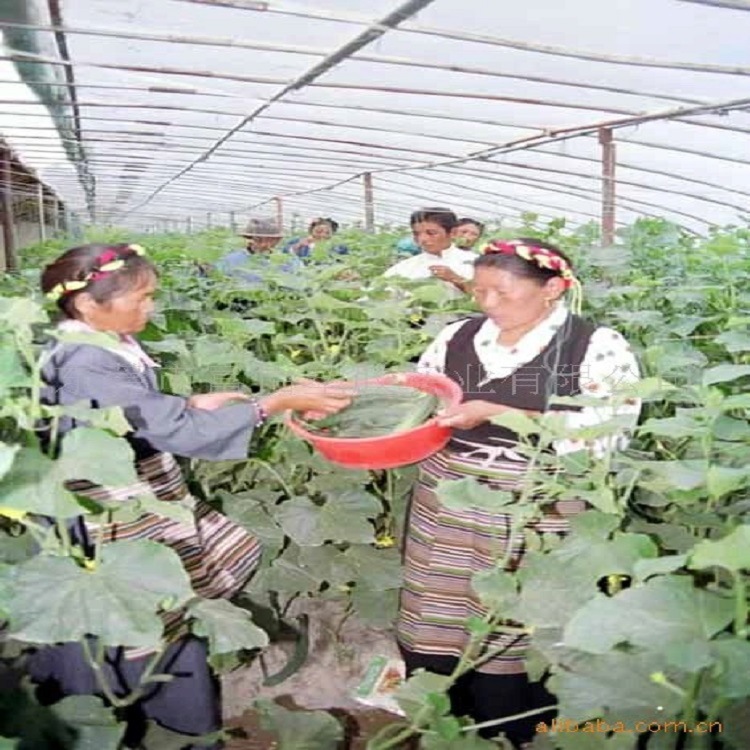 供应包头PE万通板 乌鲁木齐塑料大棚PE阳光板 呼和浩特PE中空板