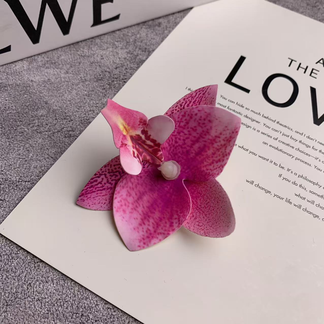 미니 호접란 꽃잎 파우더 6