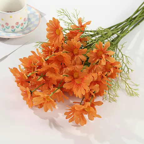 Orange daisy