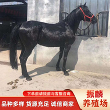 �T���R�������Rِ�R �ɹ��R �����R �����R ���^�RС���R