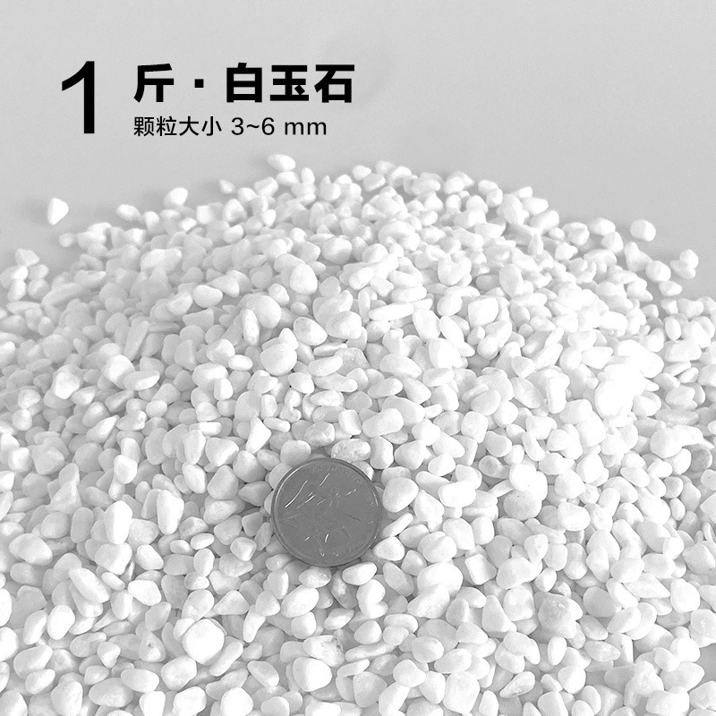 楸肩几搴曠爞閫犳櫙搴曟矙涔岄緹娌虫矙鍖栧